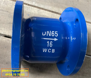 Van một chiều lò xo mặt bích
