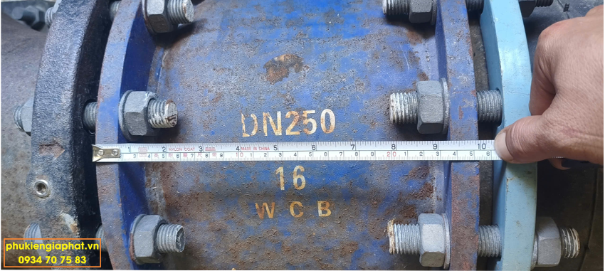 Check valve WCB Flange Pn16 DN250